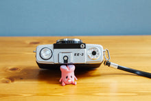 画像をギャラリービューアに読み込む, OLYMPUS PEN EE-3 ハーフカメラ