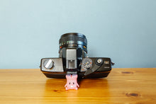 画像をギャラリービューアに読み込む, MINOLTA ST101(BK)