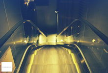 画像をギャラリービューアに読み込む, KONO Delight Art400 35mmカラーネガフィルム 36枚撮り【海外フィルム✈️】1本売り