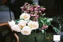 画像をギャラリービューアに読み込む, FUJIFILM Velvia100(35mmフィルム)ポジ・リバーサルフィルム 24枚撮り【期限内】