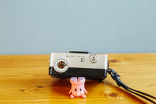 画像をギャラリービューアに読み込む, RICOH Auto Half E