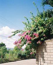 画像をギャラリービューアに読み込む, 【完動品】Nikon Zoom300AF