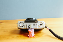 画像をギャラリービューアに読み込む, OLYMPUS PEN EE-3 ハーフカメラ