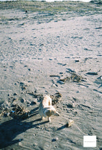 Load image into Gallery viewer, Diamond EVERYDAY200 35mm color negative film 24 shots Expired