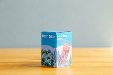 Load image into Gallery viewer, HOASCA 800 (35mm film) Color negative film 36 shots