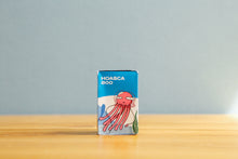 Load image into Gallery viewer, HOASCA 800 (35mm film) Color negative film 36 shots