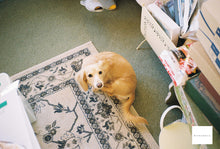 画像をギャラリービューアに読み込む, KYOCERA LYNX120【完動品】