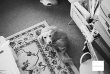 Load image into Gallery viewer, Kentmere 100 35mm monochrome film 36 shots