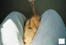 画像をギャラリービューアに読み込む, KYOCERA LYNX120【完動品】