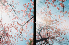 画像をギャラリービューアに読み込む, Konica EYE【完動品】【希少品❗️】ハーフカメラ フルセット❗️