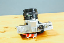 画像をギャラリービューアに読み込む, MINOLTA ST101