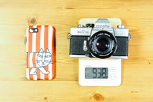 画像をギャラリービューアに読み込む, MINOLTA ST101