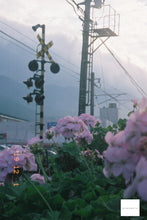 画像をギャラリービューアに読み込む, Canon New Autoboy【完動品】【美品❗️】