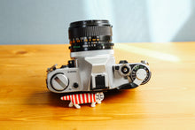 画像をギャラリービューアに読み込む, Canon AE-1