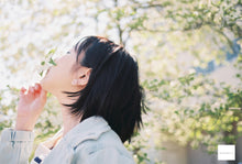 画像をギャラリービューアに読み込む, Minolta XD【完動品】