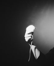 Load image into Gallery viewer, SFL5222 ASA(ISO)250 35mm monochrome film 36 shots