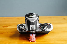 画像をギャラリービューアに読み込む, Nikon FE【完動品】
