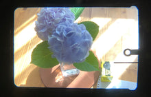 Load image into Gallery viewer, Voigtlander BESSAMATIC