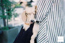 Load image into Gallery viewer, Solaris400 35mm color negative film 12 shots Expired