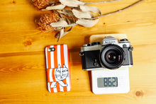 画像をギャラリービューアに読み込む, Nikon FE【完動品】