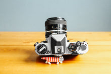 画像をギャラリービューアに読み込む, Nikon FE【完動品】