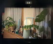 画像をギャラリービューアに読み込む, Nikon FE(BK) & Ai35mmF2.8【完動品】明るいレンズ付き・初心者でも操作◎