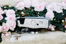 画像をギャラリービューアに読み込む, OLYMPUS 35RC 通称:リチャード ブルーマリン🐬🏝【完動品】