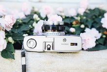 ç»åãã®ã£ã©ãªãŒãã¥ãŒã¢ã«èªã¿èŸŒã, OLYMPUS TRIP35 玫ã®ç æŒ ð«ðãå®ååã