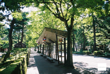 画像をギャラリービューアに読み込む, PENTAX ZOOM70R【完動品】