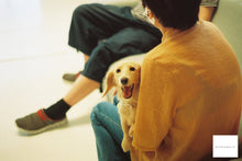 画像をギャラリービューアに読み込む, Minolta X-700【完動品】