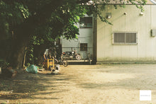 画像をギャラリービューアに読み込む, Canon AE-1【完動品】【実写済み❗️】旧FD1番良いレンズ❗️