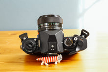 画像をギャラリービューアに読み込む, Canon New F-1 【美品】【完動品】【実写済み】