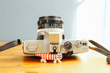 画像をギャラリービューアに読み込む, 【動作品】【実写済み】Minolta SR101