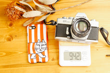 画像をギャラリービューアに読み込む, 【動作品】【実写済み】Minolta SR101