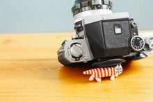 画像をギャラリービューアに読み込む, Nikon F【完動品】【美品❗️】【実写済み❗️】