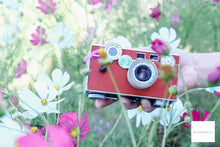 画像をギャラリービューアに読み込む, 【完動品】Argus C3 Flagola🍓