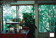 画像をギャラリービューアに読み込む, OLYMPUS XA2【完動品】【美品❗️】