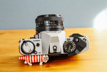 画像をギャラリービューアに読み込む, 【完動品】Canon AE-1P