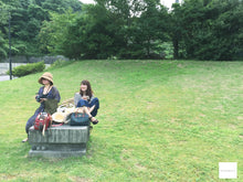 画像をギャラリービューアに読み込む, Canon Power Shot A1000IS【完動品】【美品❗️】▪️オールドコンデジ▪️デジタルカメラ