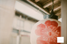 画像をギャラリービューアに読み込む, MINOLTA PANORAMA ZOOM135【完動品】