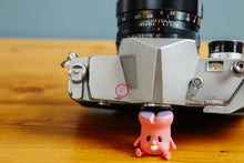 画像をギャラリービューアに読み込む, Konica AUTOREX【完動品】ハーフ切り替えできるカメラ