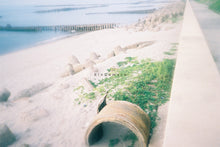 画像をギャラリービューアに読み込む, Canon Autoboy TELE【完動品】