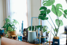 画像をギャラリービューアに読み込む, KIYOHARA KOGAKU 清原ソフトレンズ Nikon Fマウント【完動品】【実写済み❗️】