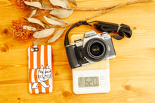 画像をギャラリービューアに読み込む, PENTAX MZ-3 【動作品】