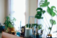 画像をギャラリービューアに読み込む, KIYOHARA KOGAKU 清原ソフトレンズ Nikon Fマウント【完動品】【実写済み❗️】