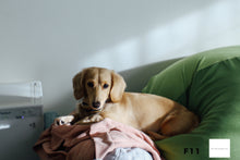 画像をギャラリービューアに読み込む, KIYOHARA KOGAKU 清原ソフトレンズ Nikon Fマウント【完動品】【実写済み❗️】