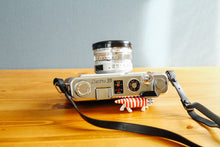 画像をギャラリービューアに読み込む, 【ono様専用】YASHICA Electro 35 GS【完動品】【実写済み】