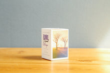 画像をギャラリービューアに読み込む, KONO! Original Mirage100-400(35mmフィルム) カラーネガフィルム 36枚撮り【海外フィルム✈️】1本売り