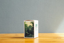 画像をギャラリービューアに読み込む, KONO! Original Monsoon100-400 (35mmフィルム) カラーネガフィルム 36枚撮り【海外フィルム✈️】1本売り