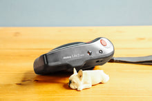 画像をギャラリービューアに読み込む, Canon Autoboy Lite2DATE【完動品】状態◎